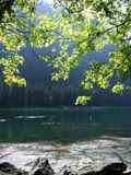 Lac de Montriond