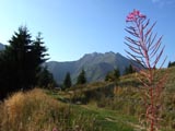 Mont Caly